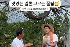 맛있는 멜론 고르는 꿀팁