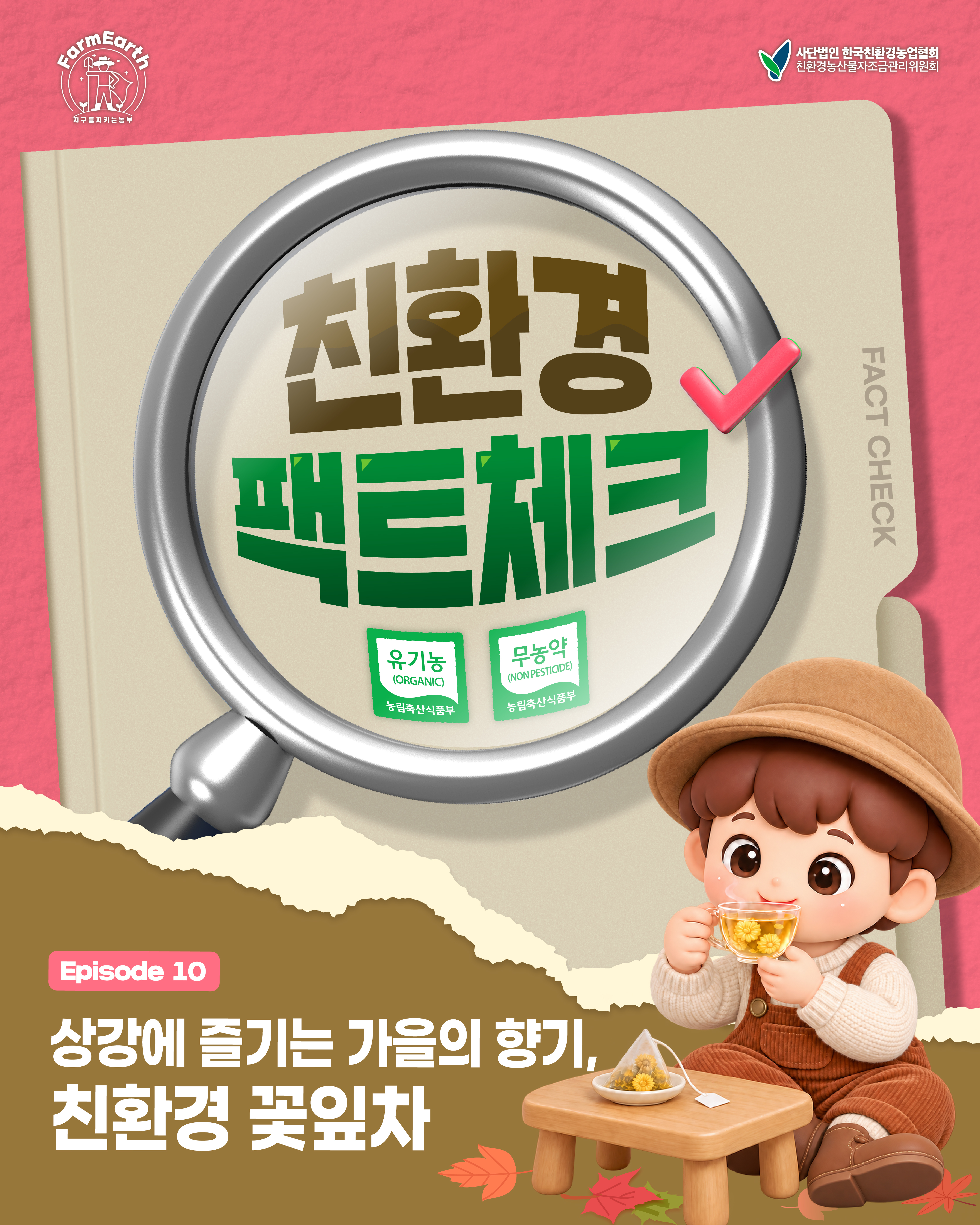 [친환경팩트체크] EP10. 상강에 즐기는 가을의 향기, 친환경 꽃잎차