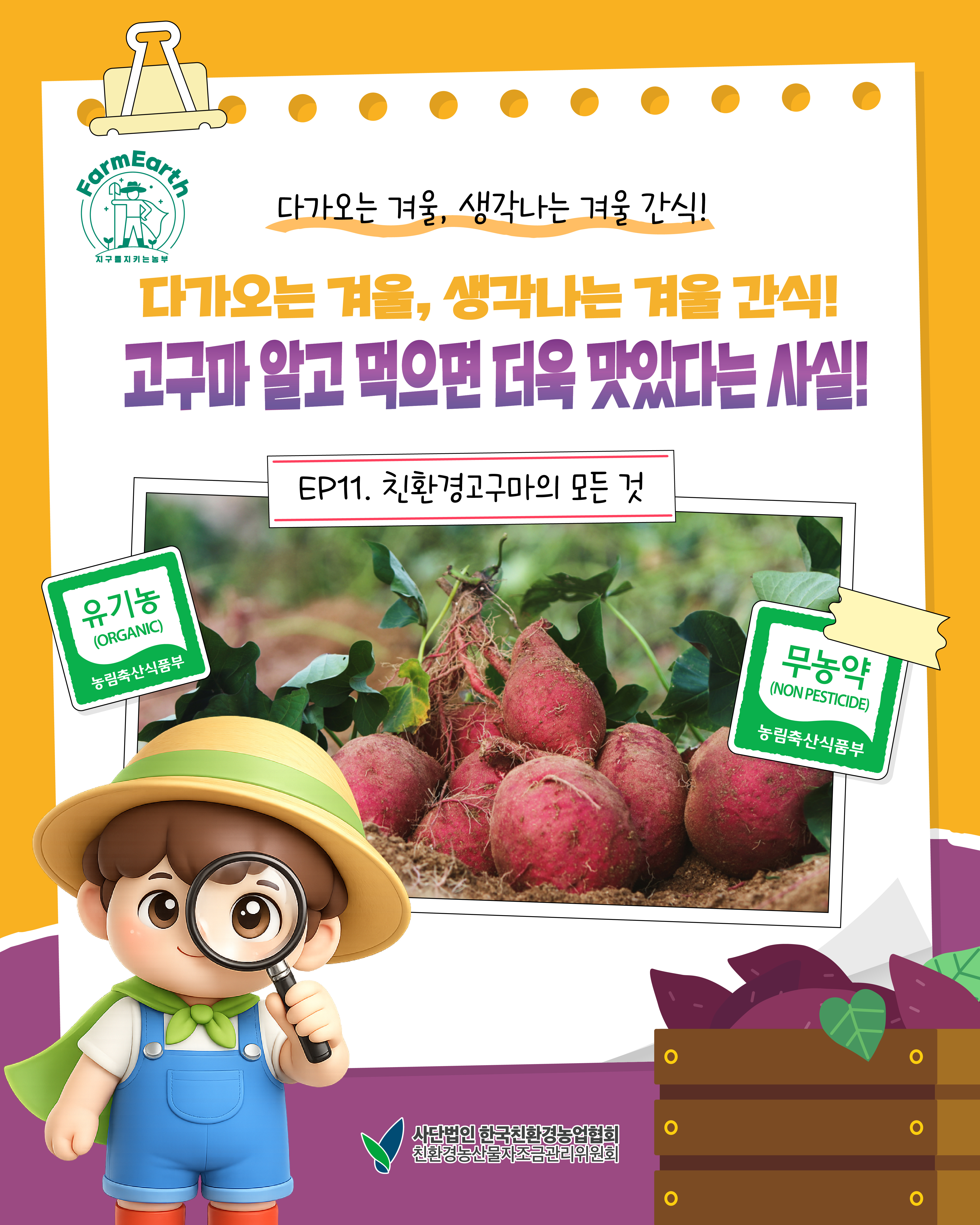 [친환경농산물 똑똑하게 알아가기] 다가오는 겨울의 대표 간식